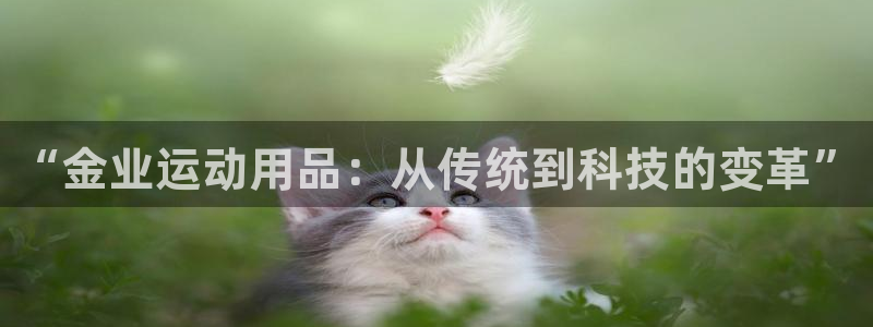 征途国际招商电话是多少号码:“金业运动用品:从传统到科技的变